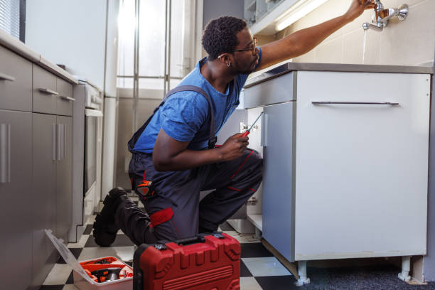 Best Clogged Drain Plumber  in Zephyrhills West, FL